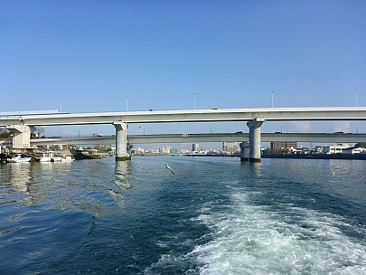 2017-01-21 10.23.33 P1010566 Simon - view back up Ota River.jpeg: 4608x3456, 6136k (2017 Jan 29 10:22)