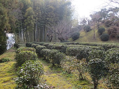 2017-01-22 11.10.10 IMG_9212 Anne - Kosaiho tea garden.jpeg: 4608x3456, 7481k (2017 Jan 26 18:37)