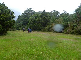 Paringa to Tunnel Creek Hut