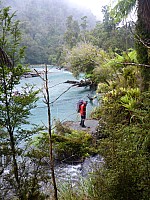 Paringa to Tunnel Creek Hut
