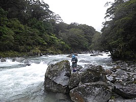 Paringa to Tunnel Creek Hut