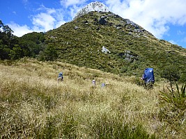 Tunnel Creek Hut to Paringa Rock Biv