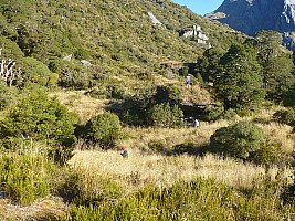 Tunnel Creek Hut to Paringa Rock Biv