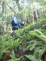 Tunnel Creek Hut to Paringa Rock Biv