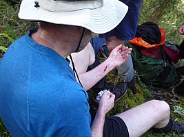 Tunnel Creek Hut to Paringa Rock Biv