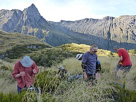 Paringa Rock Biv to McCullaugh Creek