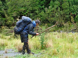 Mid Ōtoko to Stag Flat