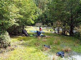 Stag Flat to Fox Glacier