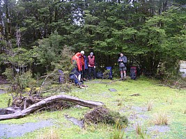 Stag Flat to Fox Glacier