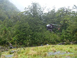 Stag Flat to Fox Glacier
