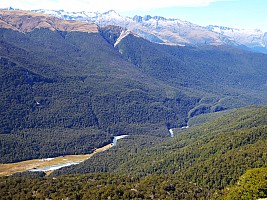 Stag Flat to Fox Glacier