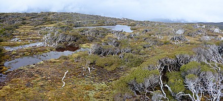 Mason Bay to Doughboy Bay