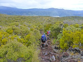 Mason Bay to Doughboy Bay