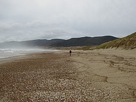 Mason Bay to Doughboy Bay