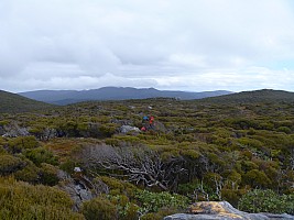Mason Bay to Doughboy Bay