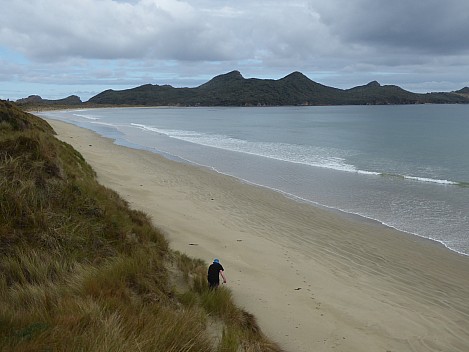 2019-11-10 10.29.57 P1020033 Brian - reaching the beach on the way to Kilbride.jpeg: 4000x3000, 4854k (2019 Nov 16 20:40)