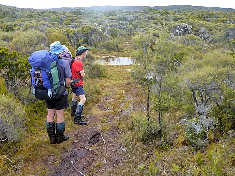 2019-11-10 14.37.12 P1020904 Simon - Jim and Brian on Adams Hill tops.jpeg: 4608x3456, 5161k (2019 Nov 10 14:37)