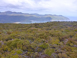 Doughboy Bay to Rakeahua Hut