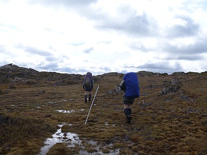 Brian and Simon on Doughboy tops
Photographer;&nbsp;Jim
2019-11-11&nbsp;10.47.19;&nbsp;Metadata time: '2019 Nov 11 10:47'
Original size:&nbsp;4,320 x 3,240; 4,620 kB
Filename: 2019-11-11 10.47.19 P1000732 Jim - Brian and Simon on Doughboy tops.jpeg