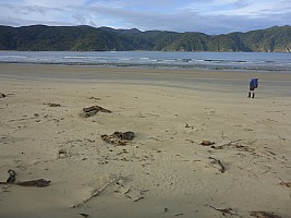 Doughboy Bay to Rakeahua Hut