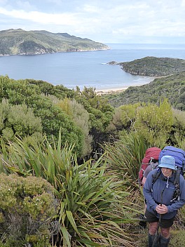 2019-11-11 08.40.21 P1020047 Brian - Jim on the track above Doughboy Bay.jpeg: 3000x4000, 4059k (2019 Nov 16 20:40)