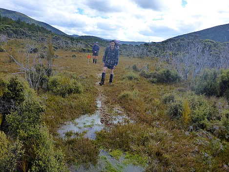 2019-11-11 16.00.32 P1020952 Simon - Jim and Brian on boggy track.jpeg: 4608x3456, 5519k (2019 Nov 11 16:00)