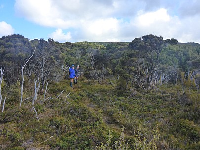 Jim and Brian starting up the Mt Rakeahua track
Photographer;&nbsp;Simon
2019-11-12&nbsp;09.05.34;&nbsp;Metadata time: '2019 Nov 12 09:05'
Original size:&nbsp;4,608 x 3,456; 6,475 kB
Filename: 2019-11-12 09.05.34 P1020957 Simon - Jim and Brian starting up the Mt Rakeahua track.jpeg