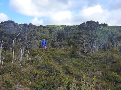 2019-11-12 09.05.34 P1020957 Simon - Jim and Brian starting up the Mt Rakeahua track.jpeg: 4608x3456, 6475k (2019 Nov 12 09:05)