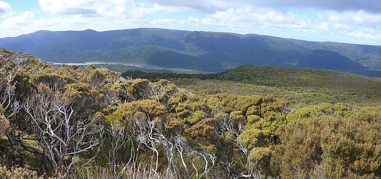 2019-11-12 10.38.20 Panorama Simon - view through scrub back to Rakeahua valley_stitch.jpg: 6577x3094, 22013k (2019 Dec 01 22:56)