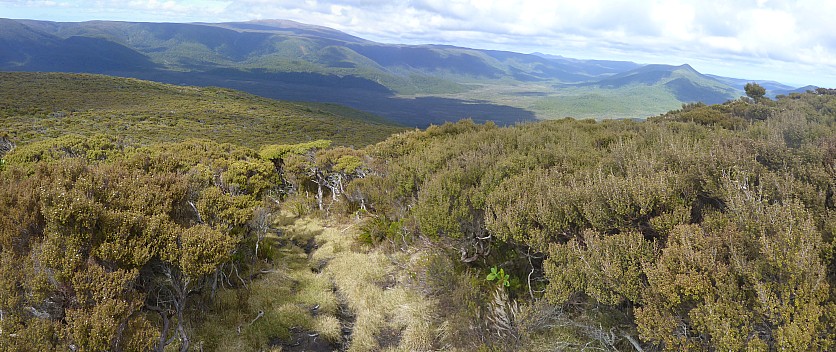 2019-11-12 10.38.39 Panorama Simon - view through scrub back to Rakeahua valley_stitch.jpg: 7723x3252, 26576k (2019 Dec 01 22:54)