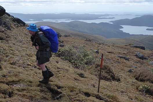 2019-11-12 11.44.21 P1020056 Brian - Simon nearing the top of Rakeahua, Patterson inlet behind.jpeg: 3264x2176, 3576k (2019 Nov 16 20:40)