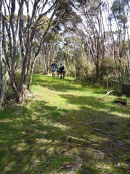 2019-11-12 14.53.45 P1030003 Simon - Brian and Jim at Rakeahua River landing.jpeg: 3456x4608, 5299k (2019 Nov 12 14:53)