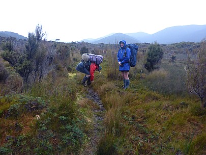 Brian and Jim leaving Rakeahu Hut
Photographer;&nbsp;Simon
2019-11-13&nbsp;07.54.54;&nbsp;Metadata time: '2019 Nov 13 07:54'
Original size:&nbsp;4,608 x 3,456; 6,359 kB
Filename: 2019-11-13 07.54.54 P1030008 Simon - Brian and Jim leaving Rakeahu Hut.jpeg