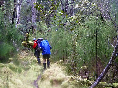 Brian and Simon on the track
Photo: Jim
2019-11-13 13.37.28; '2019 Nov 13 13:37'
Original size: 2,789 x 2,093; 2,433 kB; cr
2019-11-13 13.37.28 P1000756 Jim - Brian and Simon on the track_cr.jpg