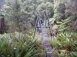 Freds Camp Hut to Freshwater Hut