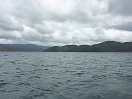 Freds Camp Hut to Freshwater Hut