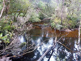 Freds Camp Hut to Freshwater Hut