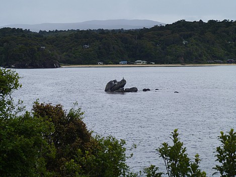 2019-11-15 14.31.23 P1000800 Jim - rocks in Halfmoon Bay.jpeg: 4320x3240, 4753k (2019 Nov 15 14:31)