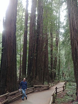 Jim in Muir Woods
Photo: Simon
2020-02-29 15.39.46; '2020 Feb 29 15:39'
Original size: 3,120 x 4,160; 7,109 kB
2020-02-29 15.39.46 LG6 Simon - Jim in Muir Woods.jpeg