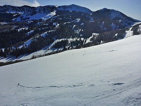 Mc Conkey's Bowl towards Deer Valley
Photographer;&nbsp;Simon
2020-03-02&nbsp;16.02.10;&nbsp;Metadata time: '2020 Mar 02 16:02'
Original size:&nbsp;4,608 x 3,456; 6,131 kB
Filename: 2020-03-02 16.02.10 P1030081 Simon - McConkey's Bowl towards Deer Valley.jpeg