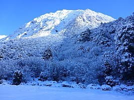 Mistake Flats Forbes River and Murphys Stream