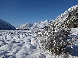 Mistake Flats Forbes River and Murphys Stream