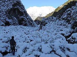 Mistake Flats Forbes River and Murphys Stream