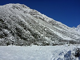 Mistake Flats Forbes River and Murphys Stream