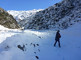 Havelock River to Growler Hut