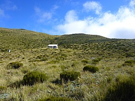 Carroll Hut and Mt Kelly