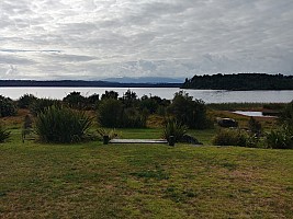 Mananui Bush, Mahinapua, Wanganui River, Oneone