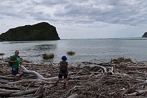Mananui Bush, Mahinapua, Wanganui River, Oneone