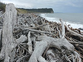 Mananui Bush, Mahinapua, Wanganui River, Oneone