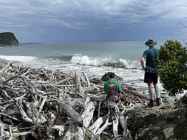 Mananui Bush, Mahinapua, Wanganui River, Oneone